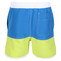 Imperial Blue-Bright Kiwi - Back - Regatta Childrens-Kids Sergio Swim Shorts