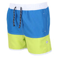 Imperial Blue-Bright Kiwi - Side - Regatta Childrens-Kids Sergio Swim Shorts