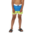 Imperial Blue-Bright Kiwi - Lifestyle - Regatta Childrens-Kids Sergio Swim Shorts