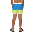 Imperial Blue-Bright Kiwi - Pack Shot - Regatta Childrens-Kids Sergio Swim Shorts