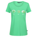Vibrant Green - Front - Regatta Womens-Ladies Filandra VI Seashells T-Shirt