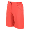 Neon Peach - Side - Regatta Womens-Ladies Xert Stretch Shorts