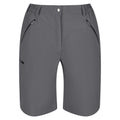 Seal Grey - Front - Regatta Womens-Ladies Xert Stretch Shorts