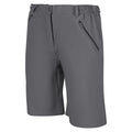 Seal Grey - Side - Regatta Womens-Ladies Xert Stretch Shorts