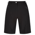 Black - Front - Regatta Womens-Ladies Xert Stretch Shorts