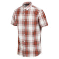 Gingerbread - Pack Shot - Regatta Mens Deakin IV Shirt