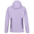 Pastel Lilac-Light Amethyst - Pack Shot - Regatta Womens-Ladies Walbury III Full Zip Fleece Jacket