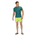 Bright Kiwi-Pacific Green - Back - Regatta Mens Rehere Shorts
