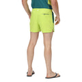 Bright Kiwi-Pacific Green - Lifestyle - Regatta Mens Rehere Shorts