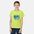 Bright Kiwi - Back - Regatta Childrens-Kids Bosley V Sunset T-Shirt