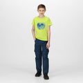 Bright Kiwi - Lifestyle - Regatta Childrens-Kids Bosley V Sunset T-Shirt