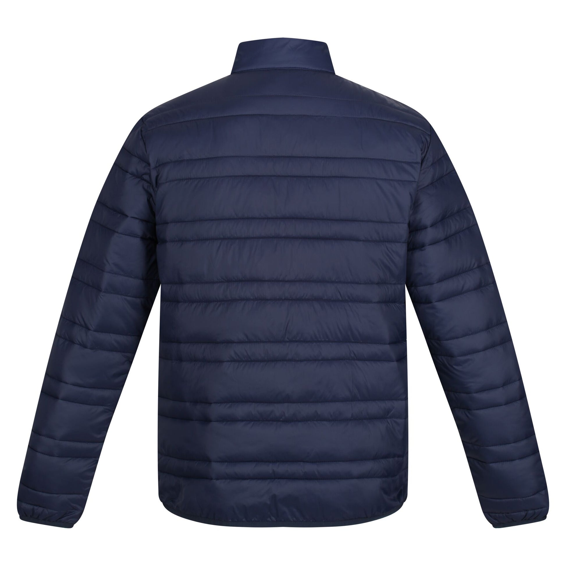 Navy-French Blue - Back - Regatta Professional Mens Padded Jacket