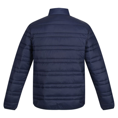 Navy-French Blue - Back - Regatta Professional Mens Padded Jacket