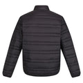 Black-Black - Back - Regatta Professional Mens Padded Jacket
