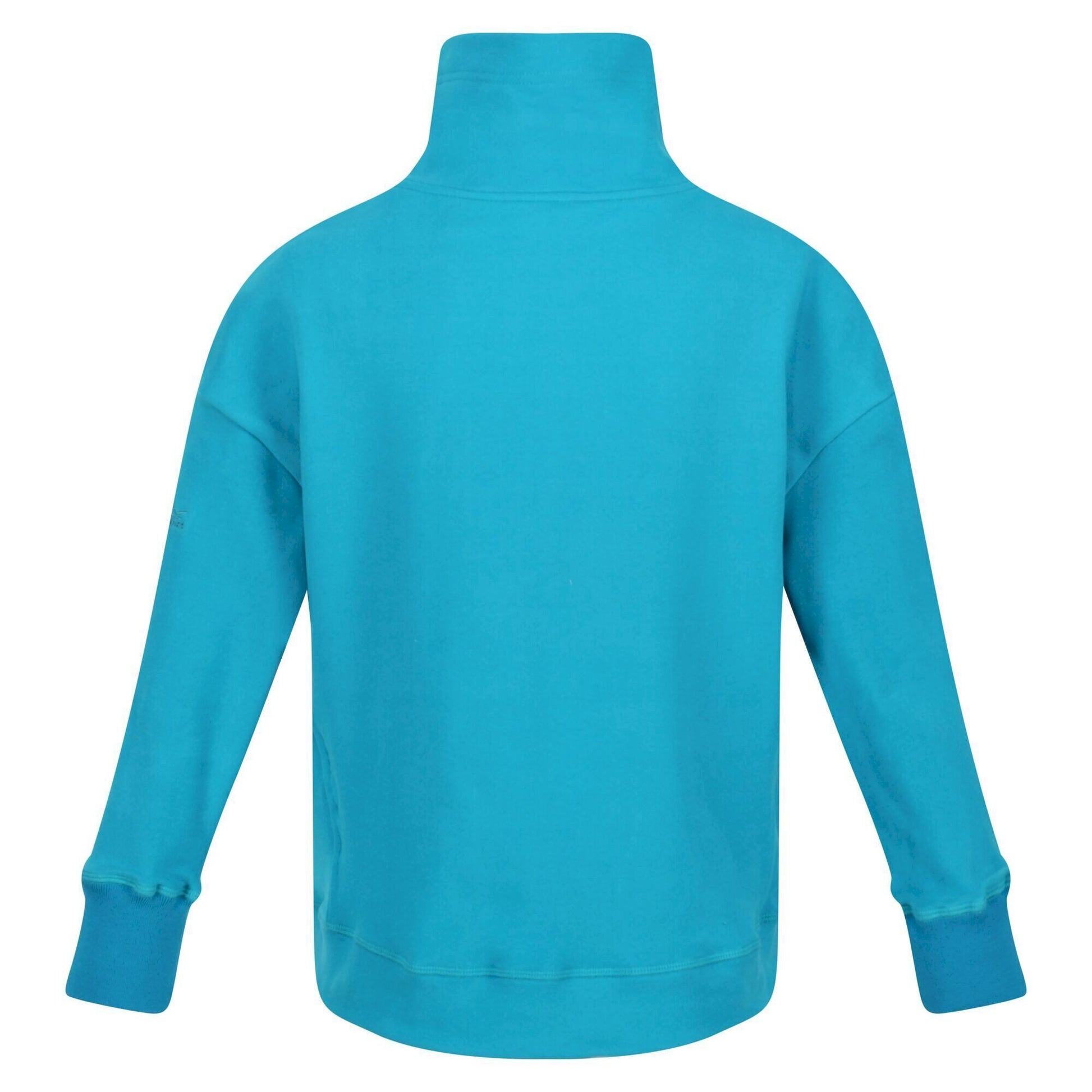 Enamel - Pack Shot - Regatta Childrens-Kids Laurden Overhead Fleece