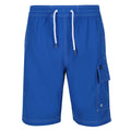 Lapis Blue - Front - Regatta Mens Hotham IV Swim Shorts