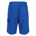 Lapis Blue - Back - Regatta Mens Hotham IV Swim Shorts