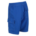 Lapis Blue - Lifestyle - Regatta Mens Hotham IV Swim Shorts