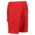 Roccoco Red - Lifestyle - Regatta Mens Hotham IV Swim Shorts