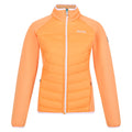 Papaya - Front - Regatta Womens-Ladies Clumber II Hybrid Insulated Jacket