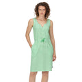 Vibrant Green-White - Back - Regatta Womens-Ladies Fahari Stripe Shift Casual Dress
