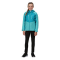 Turquoise-Enamel - Back - Regatta Childrens-Kids Highton III Waterproof Jacket