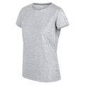 Cyberspace - Lifestyle - Regatta Womens-Ladies Fingal Edition Marl T-Shirt