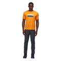 Flame Orange - Back - Regatta Mens Fingal VI T-Shirt