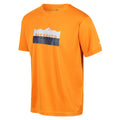 Flame Orange - Pack Shot - Regatta Mens Fingal VI T-Shirt