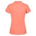 Fusion Coral - Pack Shot - Regatta Womens-Ladies Sinton Polo Shirt