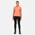 Fusion Coral - Back - Regatta Womens-Ladies Sinton Polo Shirt