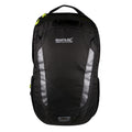 Black - Front - Regatta Britedale 20L Backpack