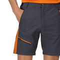 India Grey-Fox - Side - Regatta Mens Highton Pro Shorts