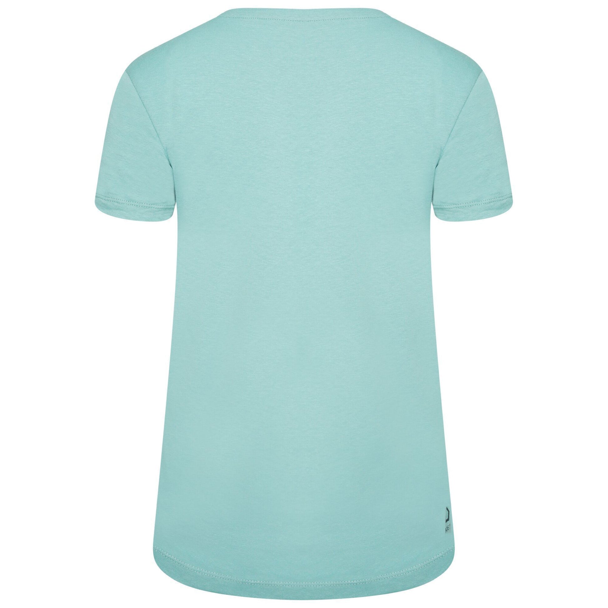 Meadowbrook Green - Pack Shot - Dare 2B Womens-Ladies Peace of Mind Mountain Climbing T-Shirt