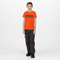 Magma Orange - Back - Regatta Childrens-Kids Bosley V Rectangle T-Shirt