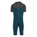 Grey-Moroccan Blue - Back - Regatta Mens Shorty Wetsuit