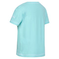 Aruba Blue - Pack Shot - Regatta Childrens-Kids Peppa Pig Printed T-Shirt