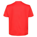 Fiery Red - Back - Regatta Childrens-Kids Alvarado VI Mountain T-Shirt
