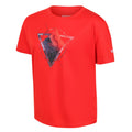 Fiery Red - Side - Regatta Childrens-Kids Alvarado VI Mountain T-Shirt