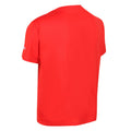 Fiery Red - Lifestyle - Regatta Childrens-Kids Alvarado VI Mountain T-Shirt