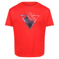 Fiery Red - Front - Regatta Childrens-Kids Alvarado VI Mountain T-Shirt