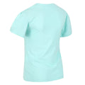 Aruba Blue - Lifestyle - Regatta Childrens-Kids Bosley V Graphic Print T-Shirt