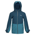 Reflecting Lake-Dragonfly - Front - Regatta Childrens-Kids Highton III Padded Jacket