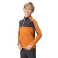 Orange Pepper-Seal Grey - Lifestyle - Regatta Childrens-Kids Hewley Recycled Half Zip Fleece Top