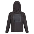 Dark Grey - Front - Regatta Childrens-Kids Highton Mountain Extol Stretch Hoodie