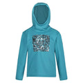 Pagoda Blue - Front - Regatta Childrens-Kids Highton Abstract Extol Stretch Hoodie