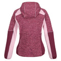Violet-Amaranth Haze - Back - Regatta Womens-Ladies Walbury IV Lightweight Fleece Jacket