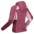 Violet-Amaranth Haze - Side - Regatta Womens-Ladies Walbury IV Lightweight Fleece Jacket