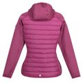 Amaranth Haze - Back - Regatta Womens-Ladies Andreson VII Hybrid Jacket