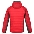 Chinese Red-Dark Red - Back - Regatta Mens Trutton Hooded Soft Shell Jacket
